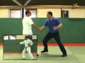 1 Heian Shodan Kata Kumite Bunkai Didier Lupo
