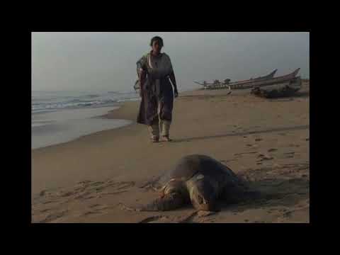 The new beginning 20 years ago…