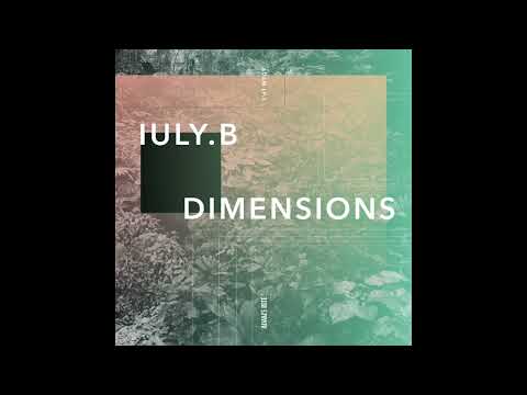 IULY.B - Altered Memories [ADAMLP003]