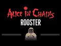 Alice in Chains • Rooster (CC) 🎤 [Karaoke] [Instrumental Lyrics]