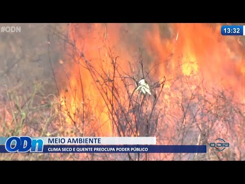 í“rgãos de monitoramento confirmam aumento do número de queimadas no Piauí com clima seco 13 07 2