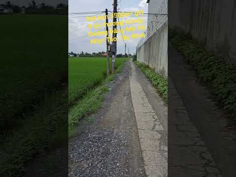 Bán đất 3500m² Tân Trụ, Long An 