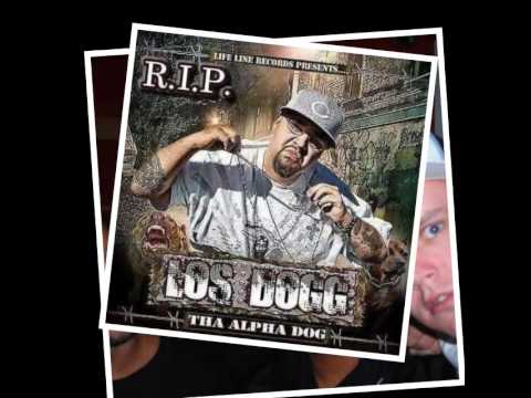 Mr. Postman - Playlist 1 / 28