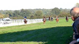 preview picture of video 'Lisieux 2011. Course de chevaux de trait. 15 octobre'