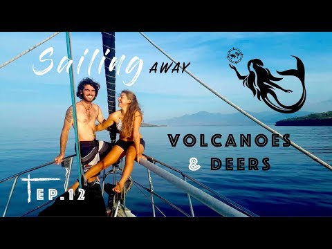 Sailing AWAY between volcanoes feat. swimming DEERS !! Ep. 12 Indonesia , Sagar Rani Odyssey
