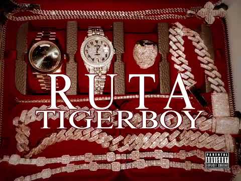 TIGERBOY  RUTA  🛣️💰 ( OFFICIAL AUDIO )