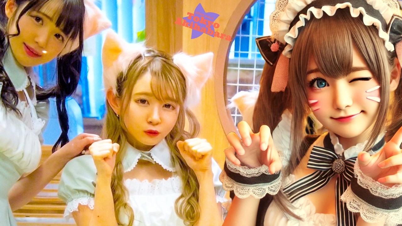 Tokyo Akihabara 🐶 Maid Cafe Story ♪💖 4K Nonstop 1 Hour