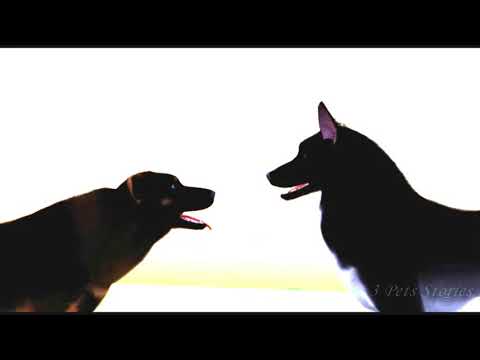 S3P - I dare You (Part 11, MEP part for Mist07000)