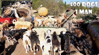 65-year-old man who lives with 400 stray dogs he rescued and adopted. @abdulkerimkutlu