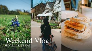 春のダラスお散歩Vlog｜ブルーボネット探しとカフェ・パン屋開拓