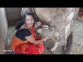 Kalyani Vlogs Is Live