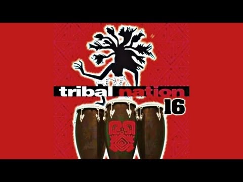 Trinakria Bros - Crazy Accordion (Drill Mix)