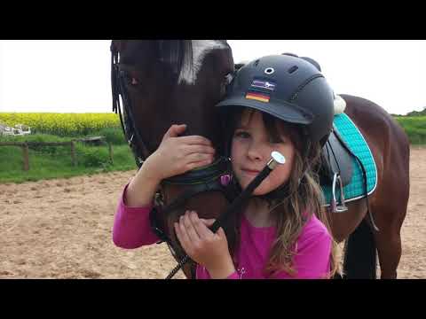 Bad Boy & Emely 2012 bis 2017