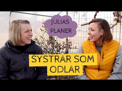 Systrar som odlar - Julias planering för odlingen 2022
