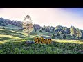 Wise Silent Partner Audio Library Release Free Copyright Safe Music