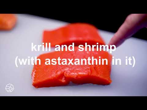 養殖サーモンと天然サーモンの見分け方