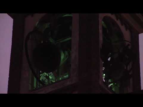 Le campane di Busto Garolfo (MI) - Distesa (3)