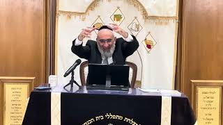 שיעור הרב הגאון אברהם בן חמו שליט״א פרשת האזינו תשפ״ז בית הכנסת ״יוסף תהילות?