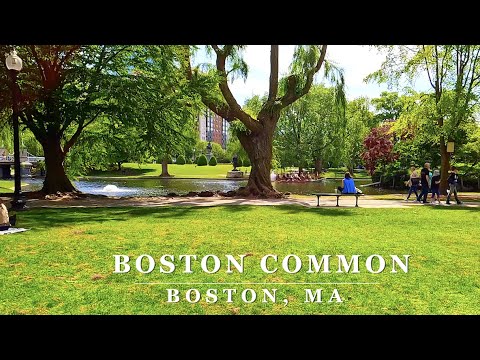 Passeio panorâmico comum de Boston - [Boston, Massachusetts] - Passeio a pé em 4K com Binaural 🎧