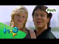 Los Momentos Más Bonitos De Rikki Y Zane