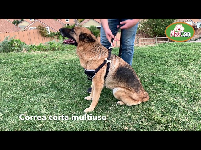 Vídeo relacionado con Correa de nailon de 10 m con 20 pares de hebillas, correas de nailon negro de 20 mm con hebilla de liberación rápida para mochila, correa de equipaje, collar de perro