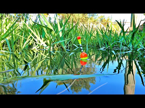 Pescuit la pluta strategi batranesti