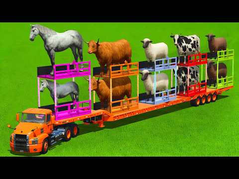 SHEEPS, BULLS, COWS, HORSES & GOATS TRANSPORT WITH COLORED TRACTORS - FS25