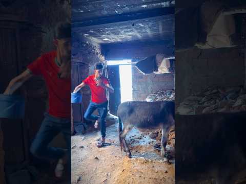 سلسلة أنا والوليد
