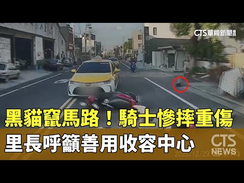 黑貓竄馬路！　騎士慘摔重傷　里長呼籲善用收容中心