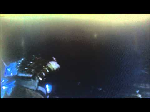 Your Highness funny scene