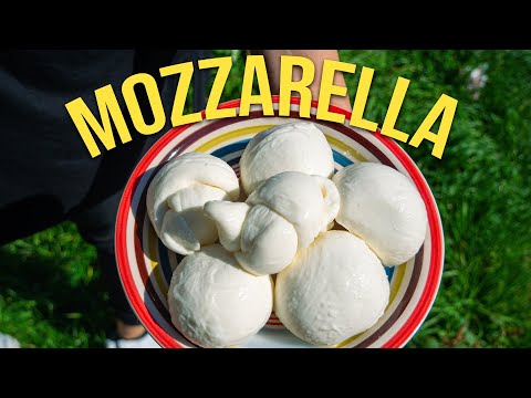 Master the Art of HOMEMADE MOZZARELLA Cheese!