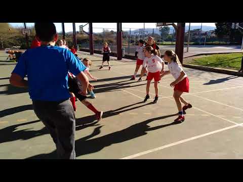 Basket mar   Codema 2017