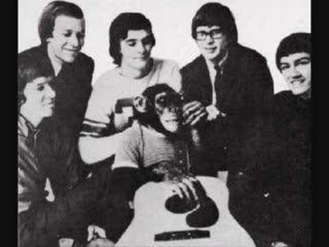 Nothings Changed - The Zombies