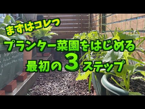 園芸 家庭菜園を始める