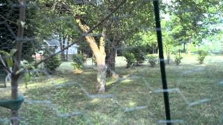 Dave's first run in all the equipment & a pint size shadow!