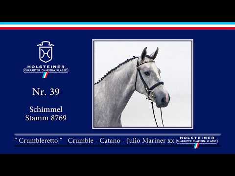 Holsteiner Körlot 2018 | Nr. 39 - CRUMBLERETTO v. Crumble - Catano