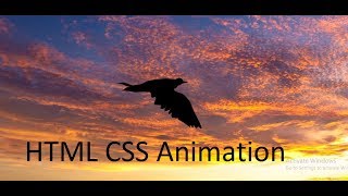 Amazing flying Bird Animation Using html &amp; Css Animated flying bird css animation code