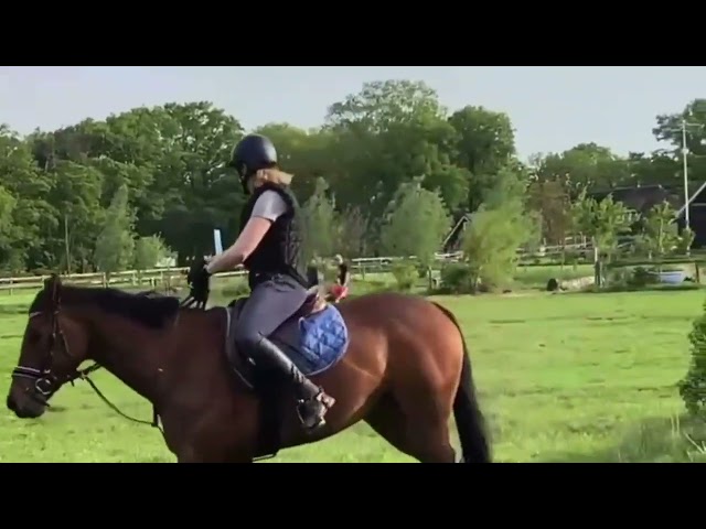 Oradu S crossfences