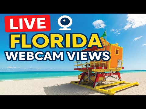 🌴Florida Live: Webcam Views! - MIAMI - FORT LAUDERDALE - ORLANDO - KEY WEST✨🌴