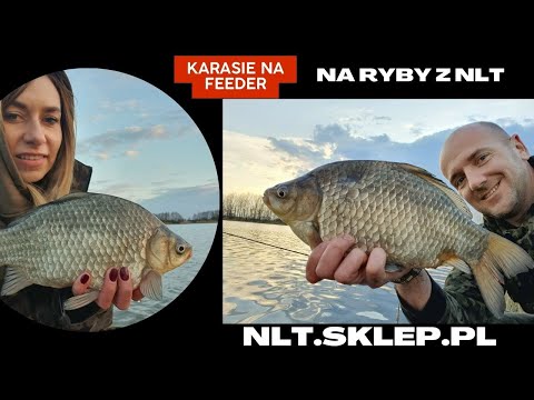 Karasie na feeder - Na ryby z NLT - NLT.SKLEP.PL