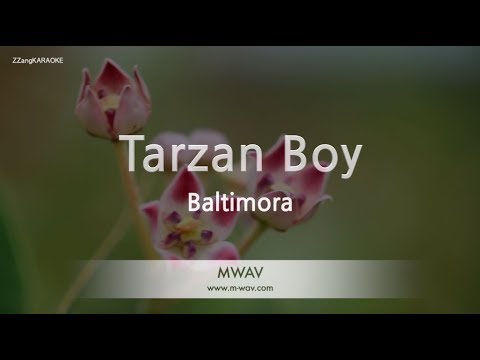 Baltimora - Tarzan Boy (Melody) (Karaoke Version)