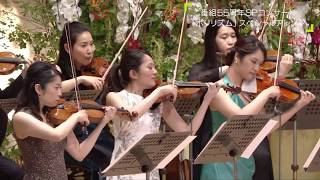 Perfume   Polyrhythm Classical Arrangement TV Special