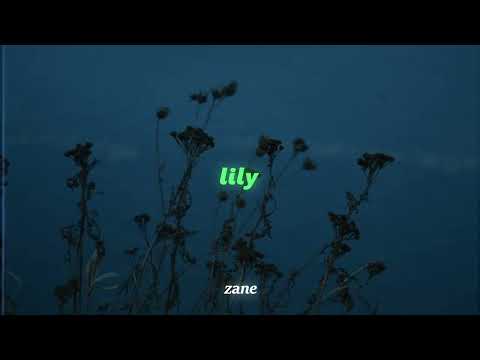 Alan Walker, K-391 & Emelie Hollow - Lily (slowed + reverb)