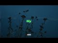 Alan Walker K 391 Emelie Hollow Lily Slowed Reverb