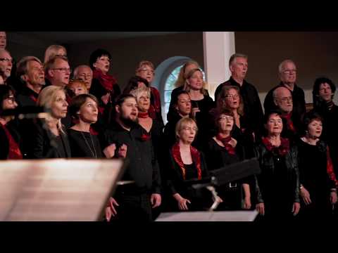 Human (Rag´n´Bone Man Cover)