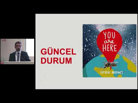 99 wnv deng sand fly ulkemizde guncel durum