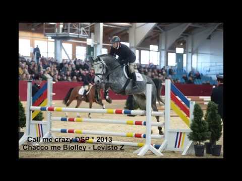 Call me Crazy Hengstpräsentation 2018