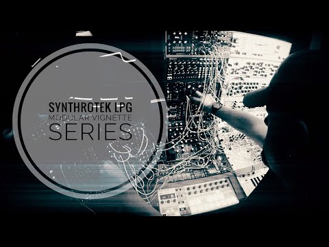 Synthrotek LPG  | Modular Vignette Series