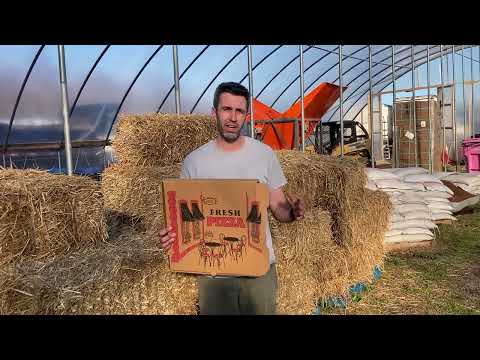 YouTube video about: Can you compost pizza boxes?