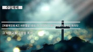 [주일예배] 치명적인죄 #2 사무엘상 18 : 6~9 : 시기는 나를 죽이는 치명적인 독이다